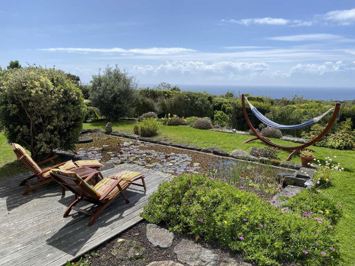 Alto do Sul Quinta Perpetua, Casa Corvo 빌라 외부 사진